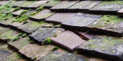 Wethersfield roof repair costs